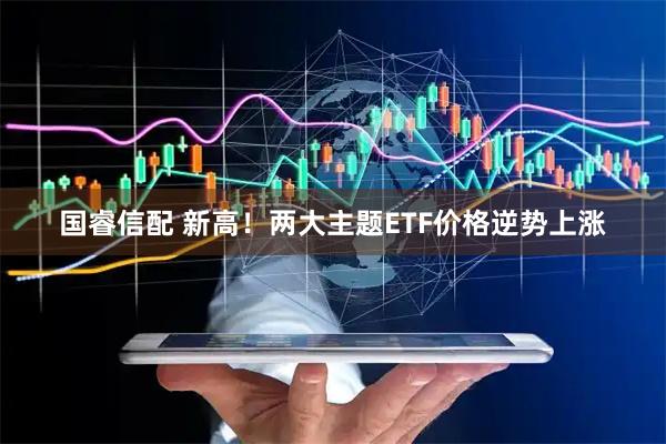 国睿信配 新高！两大主题ETF价格逆势上涨