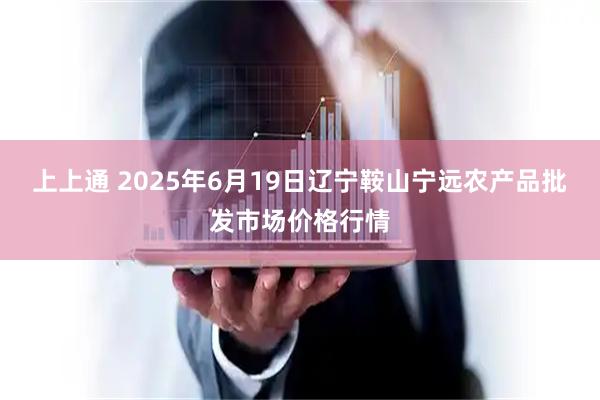 上上通 2025年6月19日辽宁鞍山宁远农产品批发市场价格行情