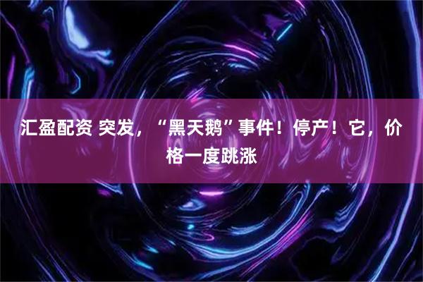 汇盈配资 突发，“黑天鹅”事件！停产！它，价格一度跳涨