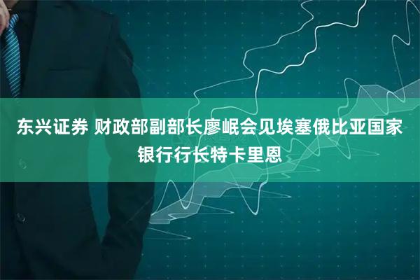东兴证券 财政部副部长廖岷会见埃塞俄比亚国家银行行长特卡里恩