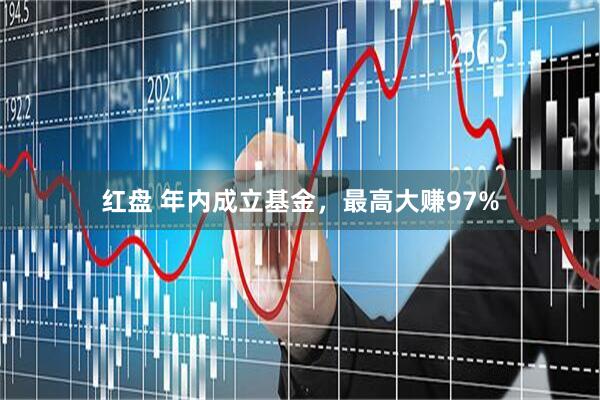 红盘 年内成立基金，最高大赚97%