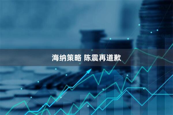 海纳策略 陈震再道歉