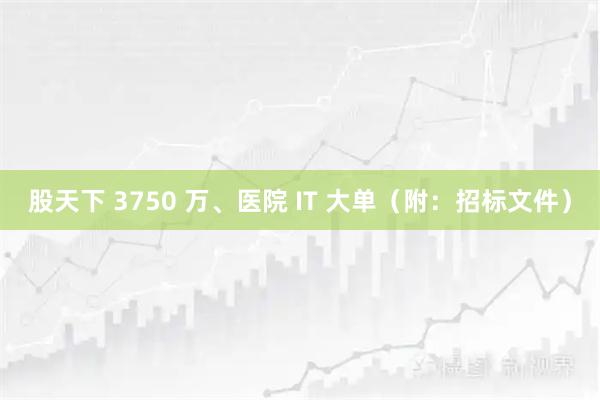 股天下 3750 万、医院 IT 大单（附：招标文件）