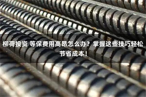 柳荷投资 等保费用高昂怎么办?掌握这些技巧轻松节省成本!